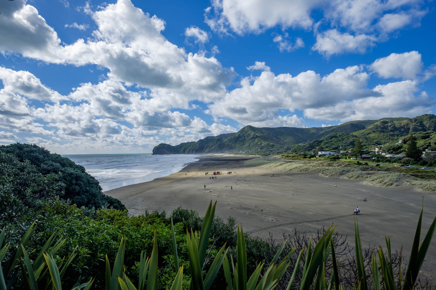 Piha Beach from top view new zealand
